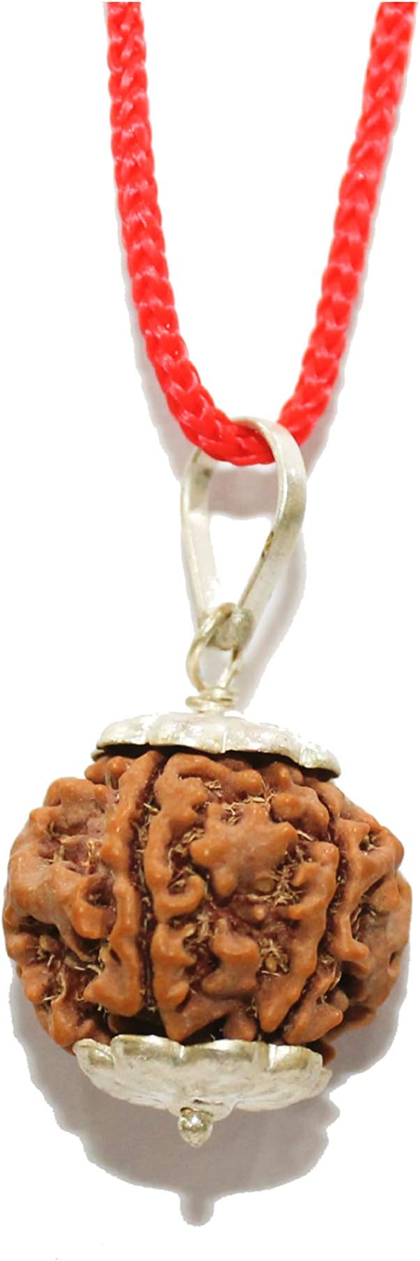 IndianStore4All Lab Certified Rudraksha (Rudraksh) Silver Pendant (Locket) (5 Mukhi)