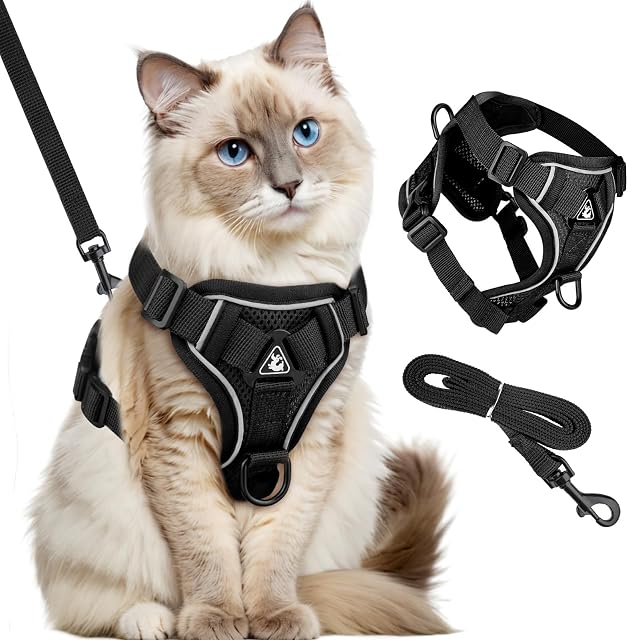 GlasFlength Arnés para Gatos con Correa, a Prueba de roturas, Correa para Gatos con arnés Ajustable para Gatos