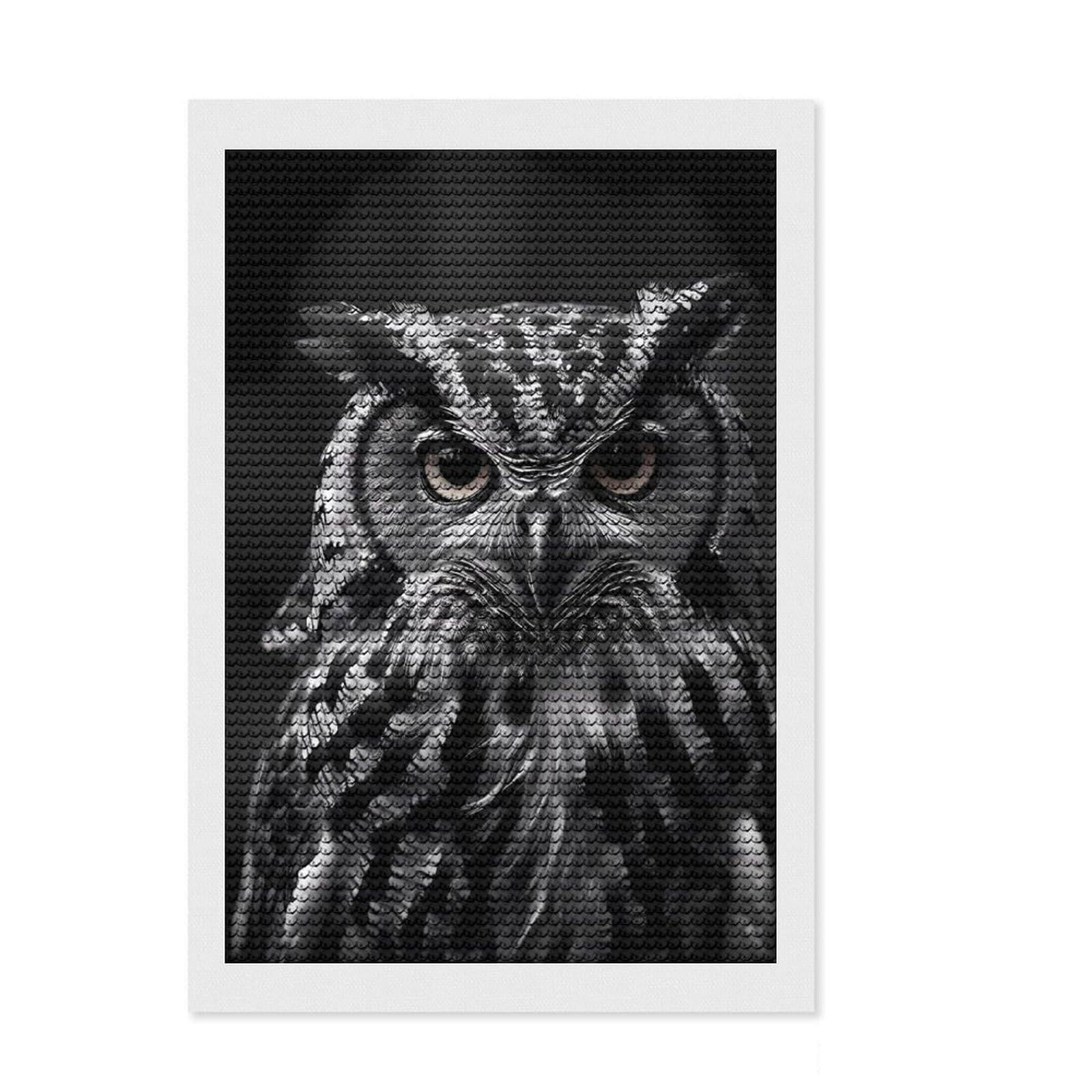 Junmoney Owl Bird Round Drill Diamond Painting 8"x12", with Tool Kit, Easy to Follow Symbols, Farmhouse Decor, for Craft Lovers