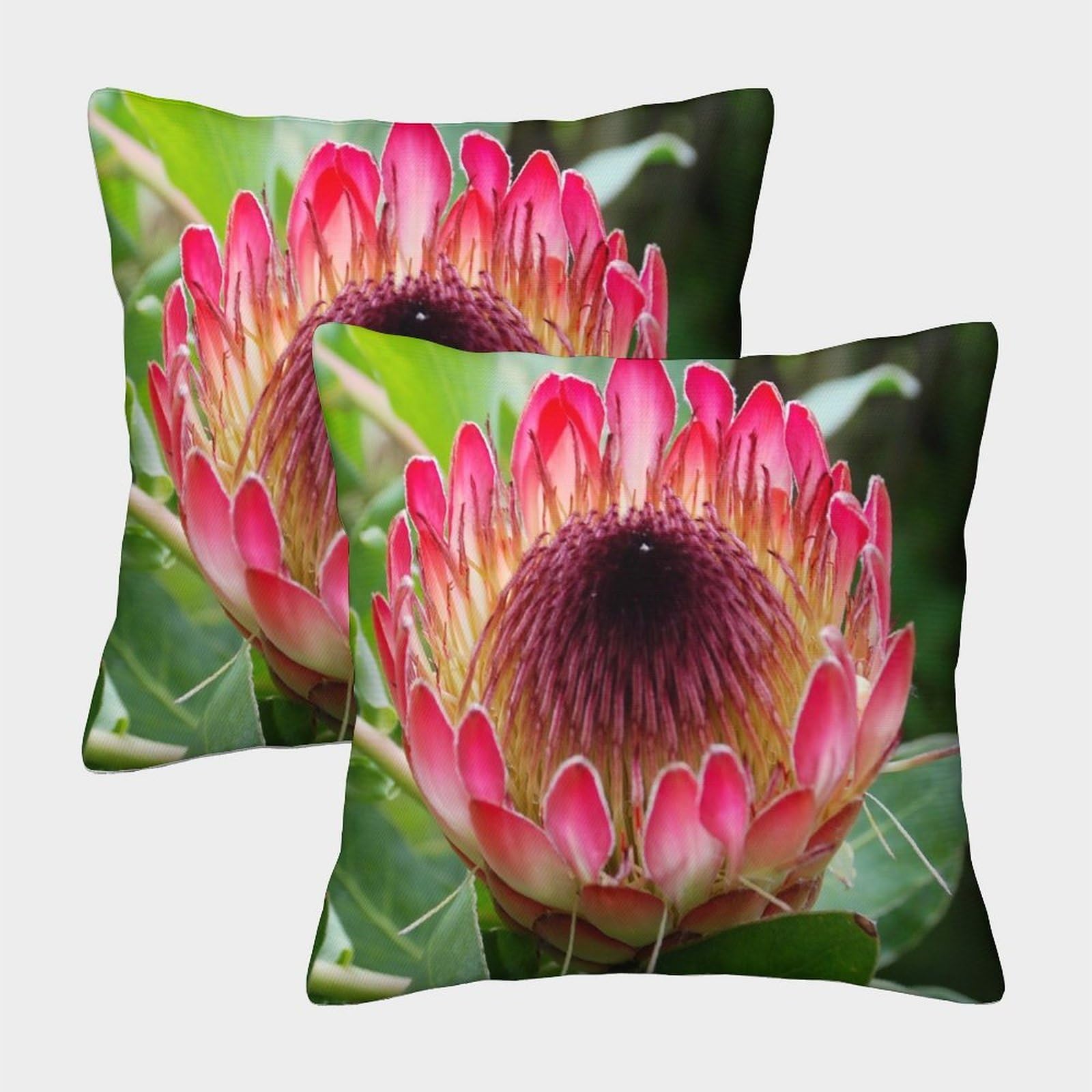 kaiyun 2 Pack King Protea,Tropical Flowers Pillow Case Home Decoration Sofa Cushion Cover 40x40cm