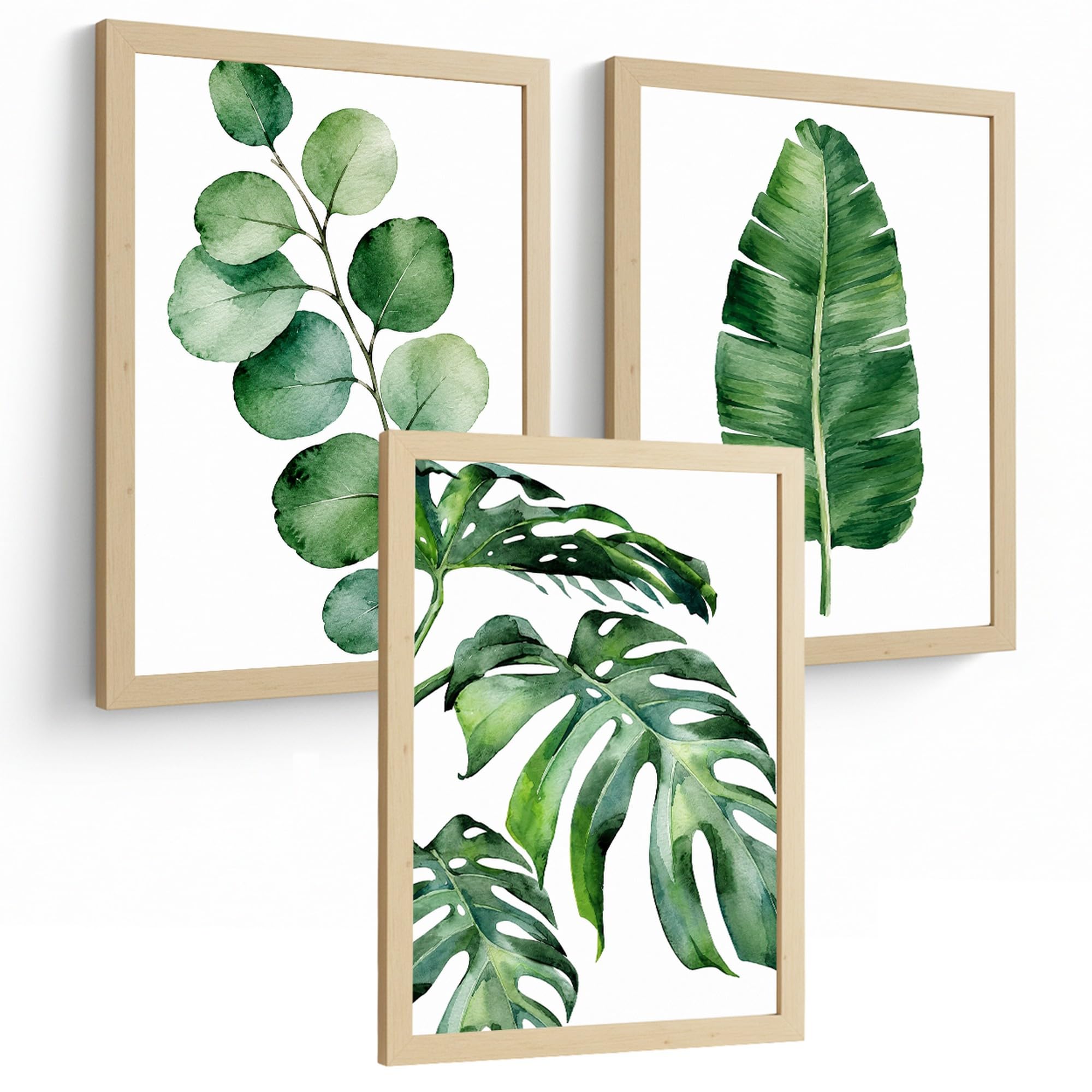 Nacnic Tropical Botanical Posters with Eucalyptus, Banana and Monstera