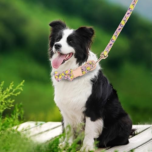 Miniatura 2 de Hilkycton Juego de collar y correa para perro con corbatín, lindo collar para perro con flor, correa de perro con mango acolchado, hebilla de