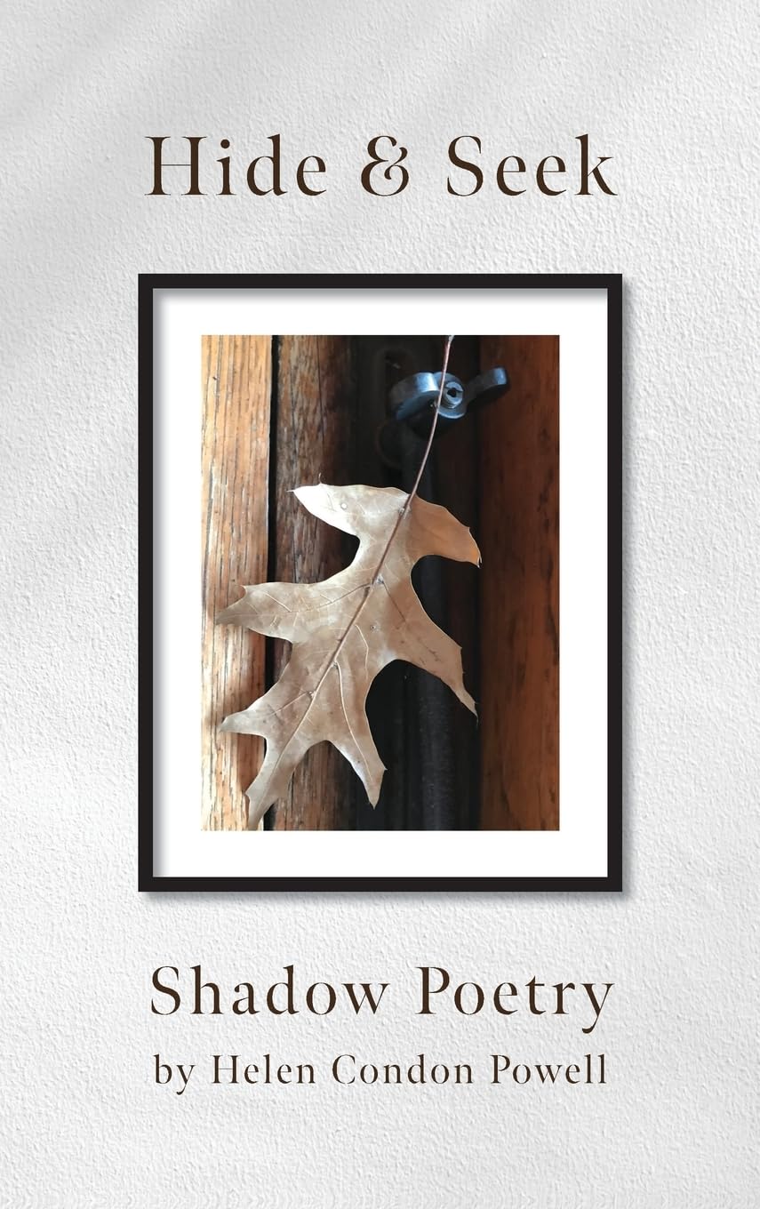 Hide & Seek Shadow Poetry livre de poésie d'ombres et de lumière pour enfant