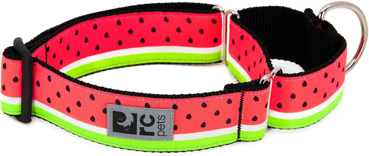 RC Pets 11/2 Inch All bing Martingale Training Dog