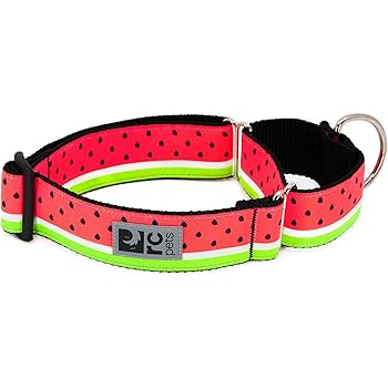 rc pets watermelon collar
