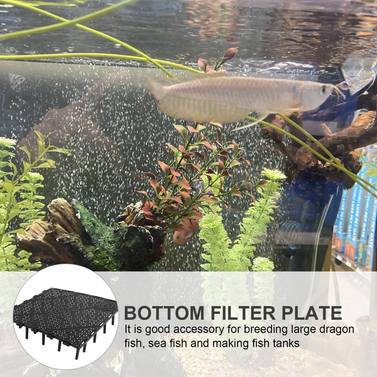 Yardwe 20 Fischbecken mit Trennwand Fischbehälter Eierkiste Fischbehälter Bodenfilter PVC Bodenfilterplatte kunststoffreiniger Schwammhalter untere Filterplatte PVC-Filterplatte eben
