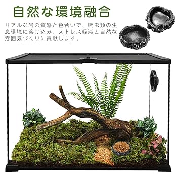 Amazon | CHANGJIQ 爬虫類 水入れ 餌入れ 2個入 水飲み皿 自然の