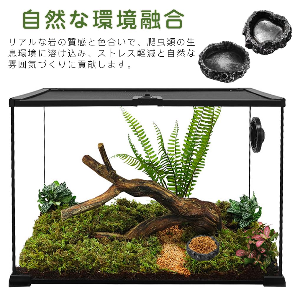 Amazon | CHANGJIQ 爬虫類 水入れ 餌入れ 2個入 水飲み皿 自然の岩