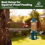 Kingsyard Durable Squirrel Proof Feeder Adjustable, Weather Resistant Bird Dispenser Metal Hanging, Outdoor Large Seed Station Anti Chew Easy Clean Garden Backyard Decor