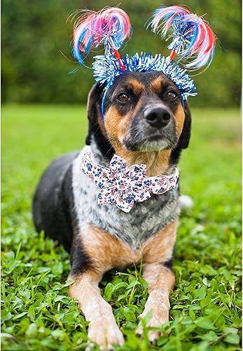 Miniatura 6 de Lionheart glory Collar de perro con bandera estadounidense, collar de flores para perro del 4 de julio, resistente y ajustable, patriótico con flor