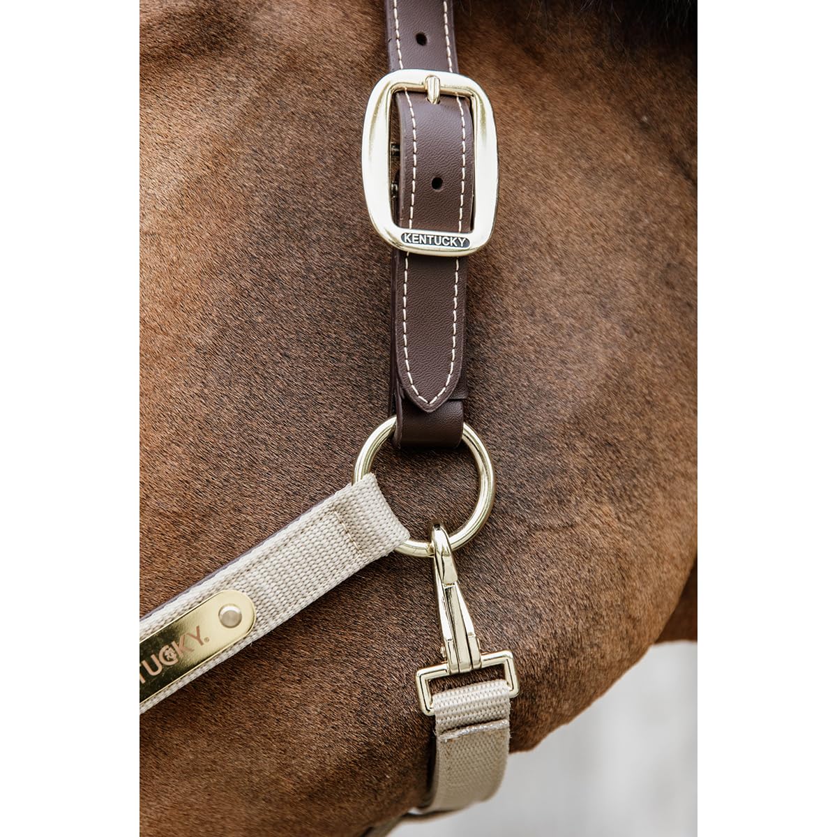 Kentucky Licol pour Cheval Anatomique Nylon