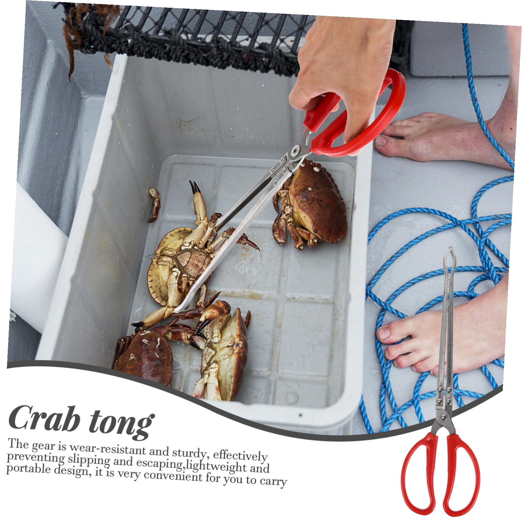 ERINGOGO Pince à Crabes Portable en Acier Inoxydable Manche Antidérapant, Outil Multifonction Pratique pour Attraper Poissons et Crabes en Milieu Aquatique