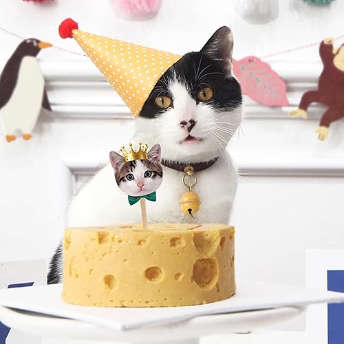 Miniatura 8 de TSJ Cartel de cumpleaños de gato, pancarta de fiesta de cara de gato, decoración de banderines de fiesta temática de gatito para recuerdos de fiesta