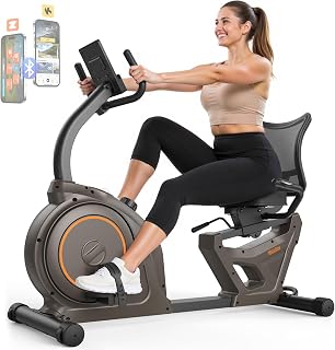 Niceday RC88 Recumbent Exercise Bike - 400LBS Capacity, 16-Level Magnetic Resistance, Quiet Flywheel, App Compatible for Home Cardio
