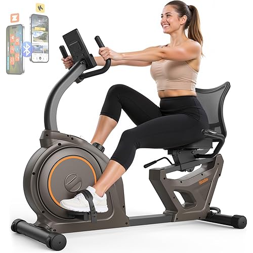 Niceday Recumbent Exercise Bike, Recumbent Bike for Home, Recumbent Stationary Bike 400LBS Weight Capacity, Magnetic Recumbent Bike with Smart APP, LCD Monitor, Heart Rate Handle