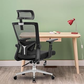 Ergo throne Rocknova Ergonomic Office Chair for Work | 4 Year Warranty | Multi-Lock Auto-Adapt Recline | 3D Armrest | Adju... Price In India