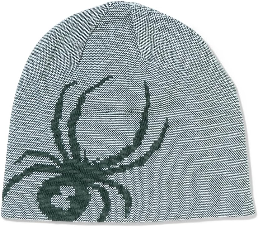 Spyder Men's Innsbruck Reversible Ski Winter Beanie