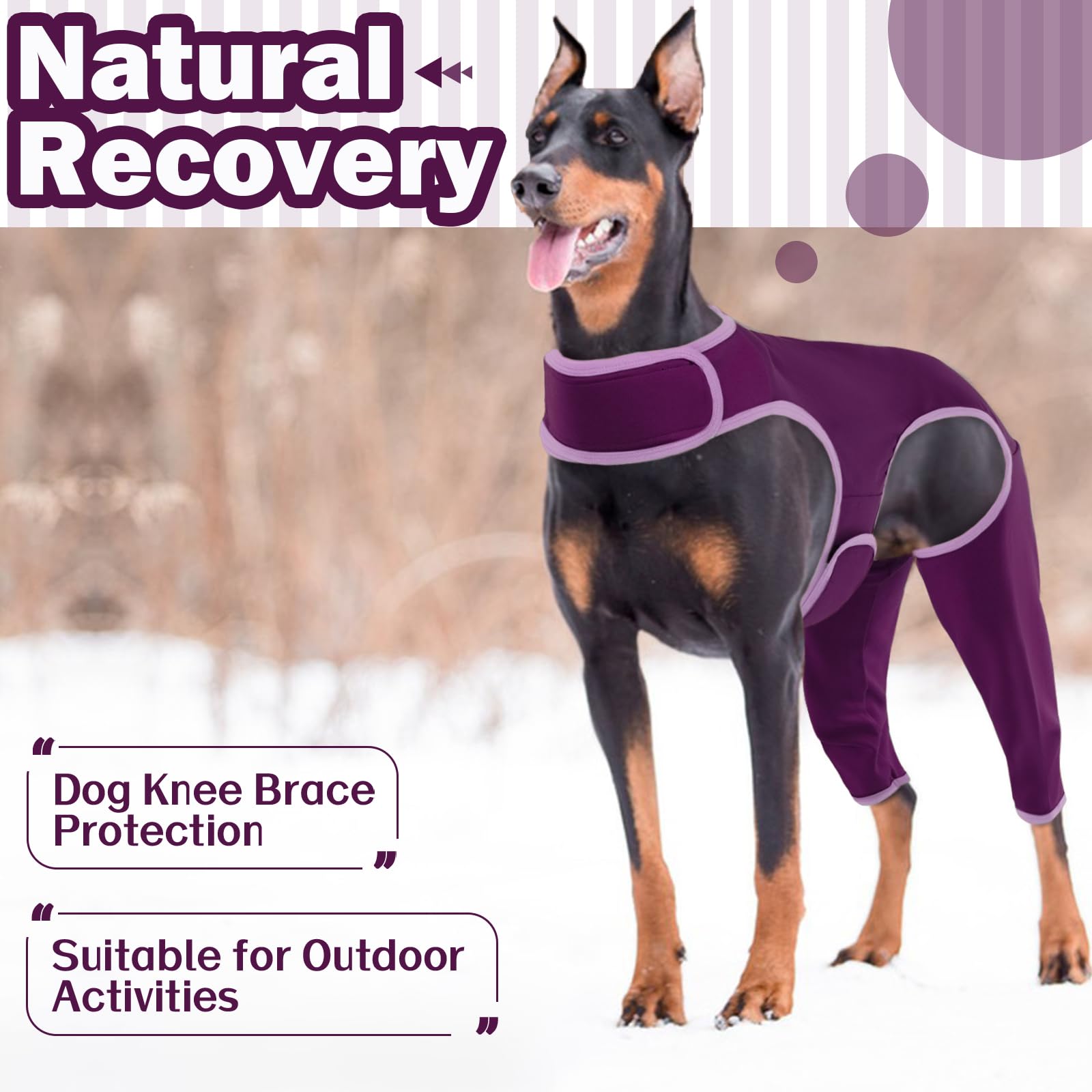 Tuta Post Operatoria Per Cane | 2 Pezzi Blu | Alternativa Al Collare Elisabettiano | Per Cani Taglia M - Foto 11