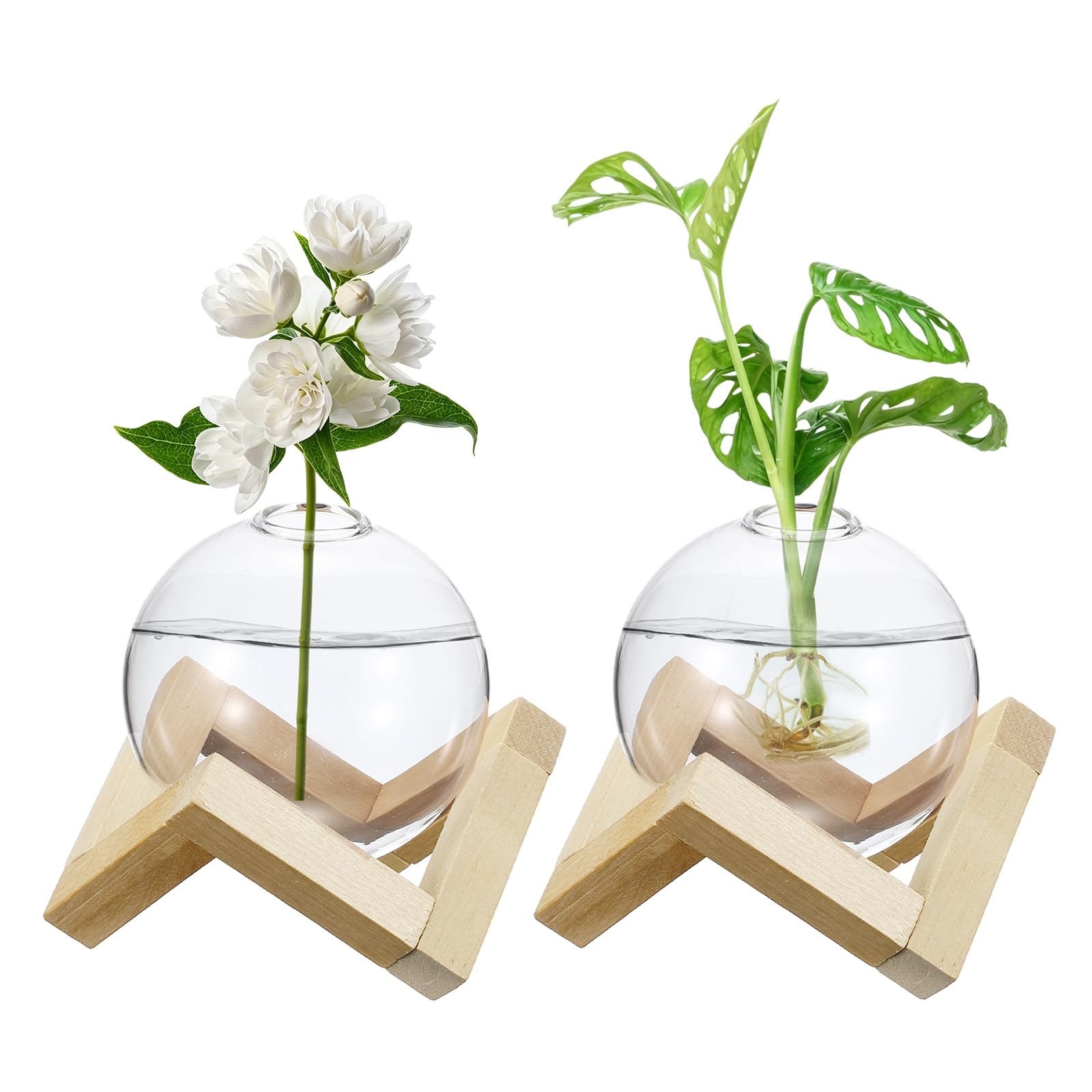 Pots de fleurs en verre hydroponiques avec support bois pour bouture et plante verte
