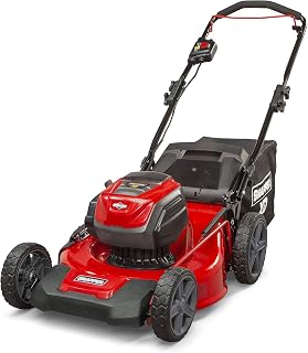 XD 82V MAX Electric Cordless 21" Push Lawn Mower, Battery and Charger Not Included