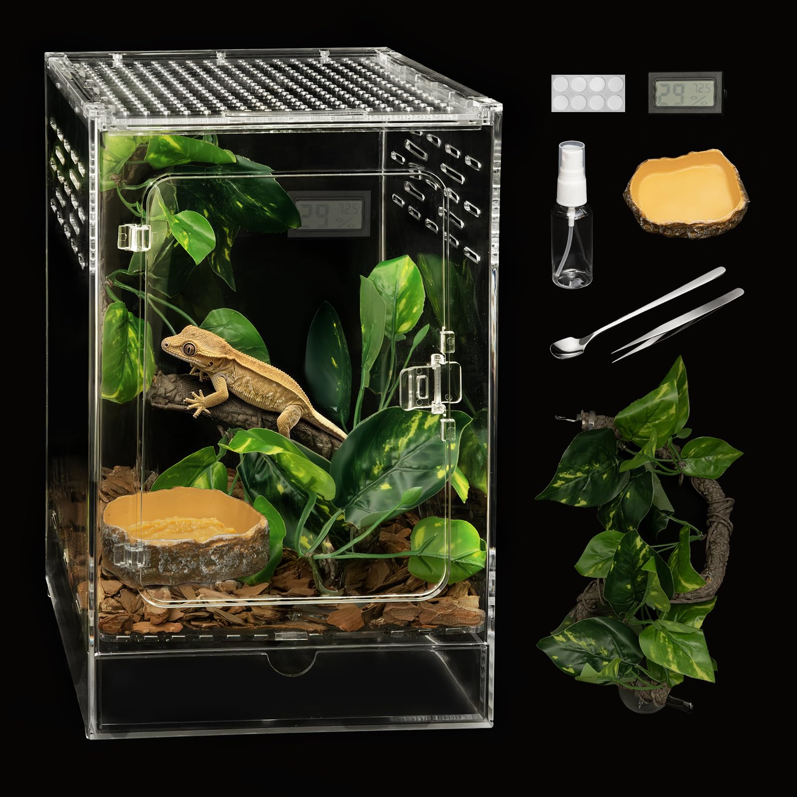 Amazon | Clioran 爬虫類タンク 8インチ x 8インチ x 12インチ 紋付き