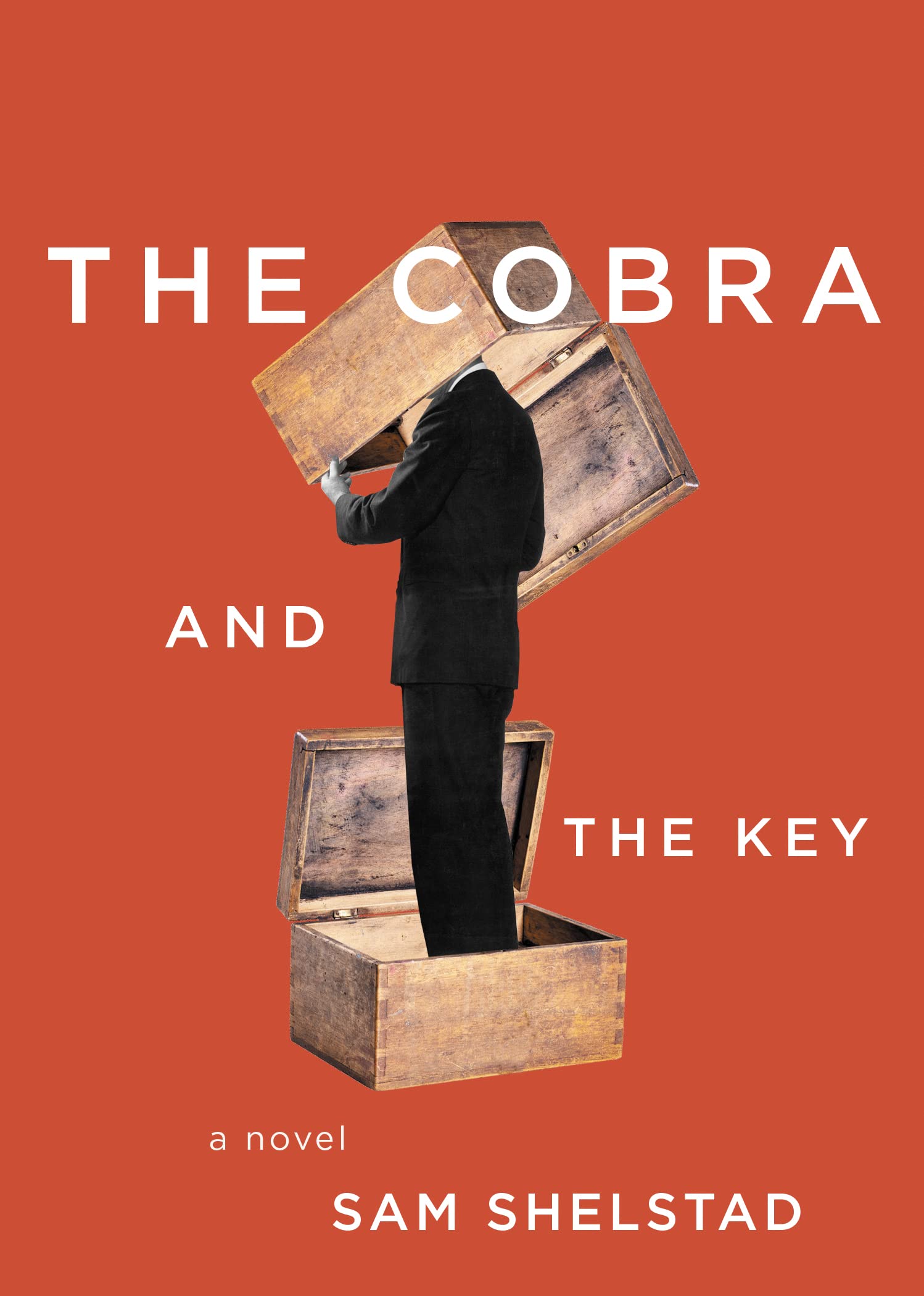 Buy The Cobra and the Key — BookShops.in