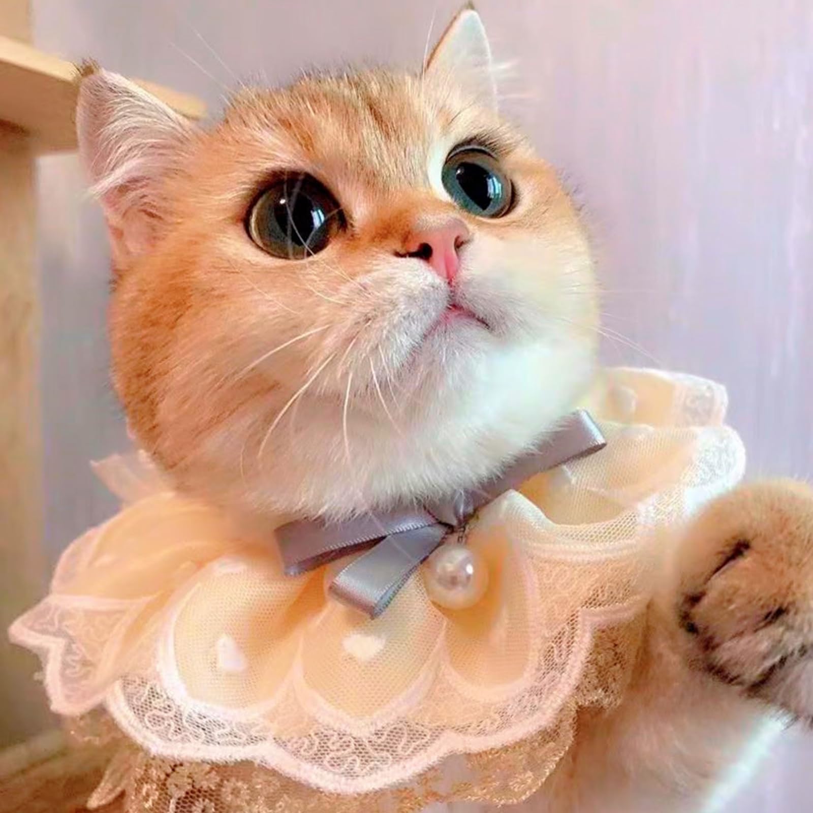Gold Pet Lace Collar Dog Cat Collar Lace Pet Scarf for Puppy Cat Costume Supplies M - Image 4