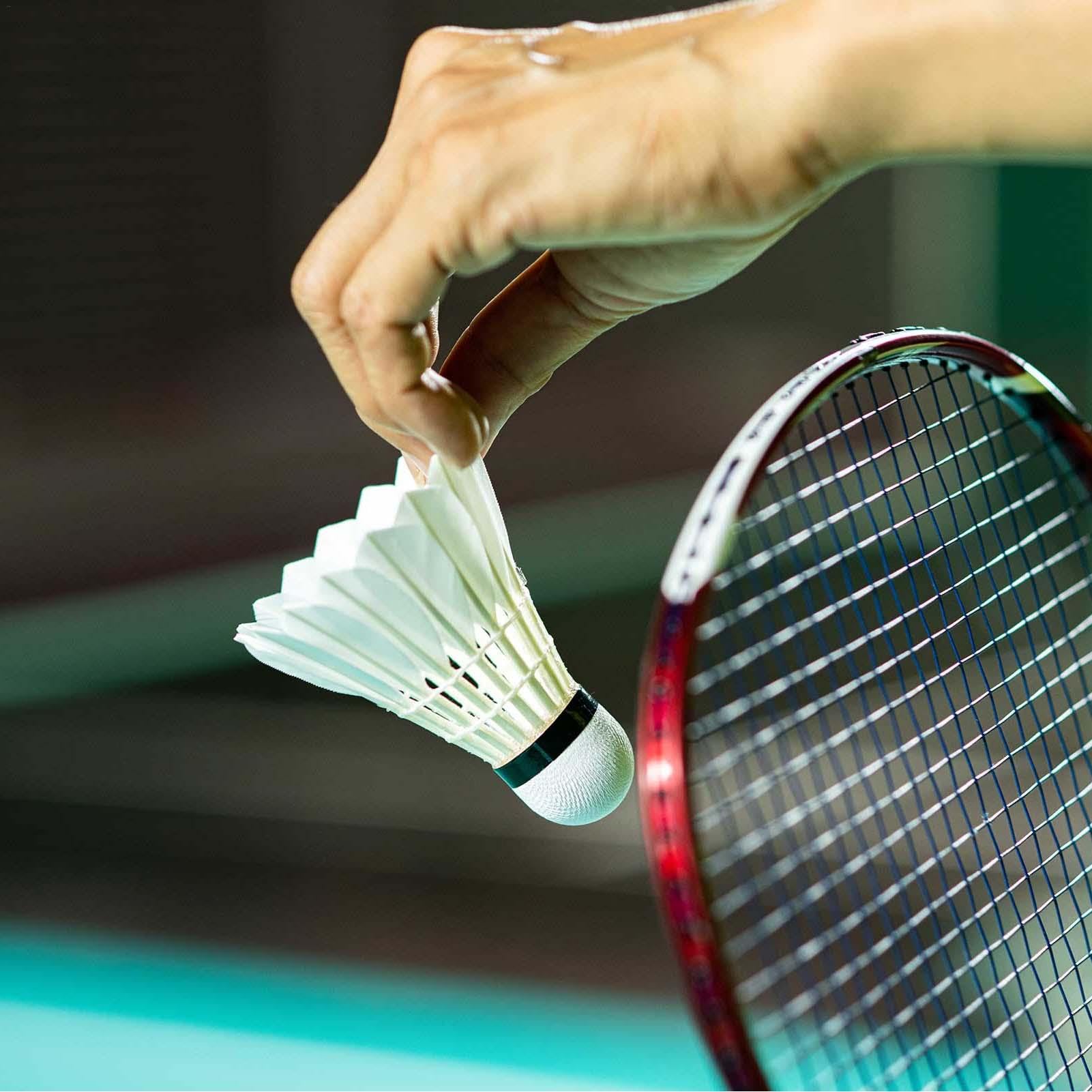 Volants De Badminton En Plumes D'Oie - Lot De 12, Haute Vitesse Et Durables Pour Jeu En Extérieur Ou Intérieur - 12