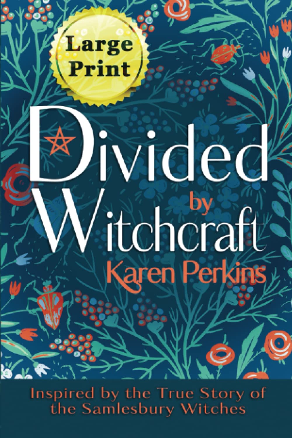 Divided by Witchcraft: Inspired by the true story of the Samlesbury Witches - Large Print Edition