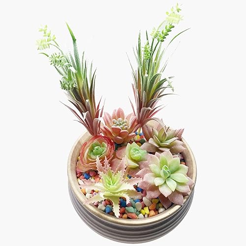 Miniatura 5 de Cayway 10 plantas suculentas artificiales, suculentas falsas rosas sin maceta, surtido de suculentas falsas en azul flocado en diferentes tipos para