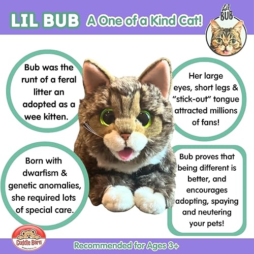 Miniatura 3 de Cuddle Barn - Lil BUB  Juguete de peluche suave y adorable para gatitos 10 pulgadas
