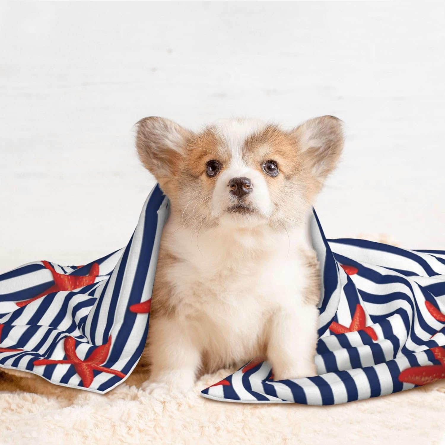review Waterproof Pet Blanket Dog Blankets,Starfish Navy Blue Stripe Pattern Printing Super Soft Warm,Urine Proof Washable Outdoor Pet Blanket for Puppy Large Dogs & Cats