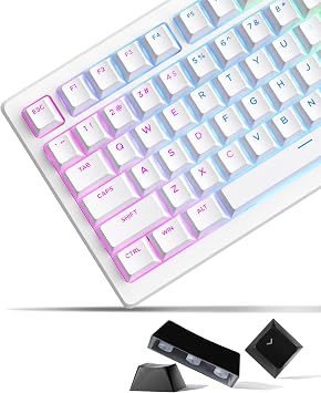 White PBT Keycaps, Keycaps 60 75 100 Percent, OEM Profile Keycaps Set, Custom Key caps Doubleshot Keycaps Set for Cherry Gateron MX Switches Keyboard, Shine Through keycaps