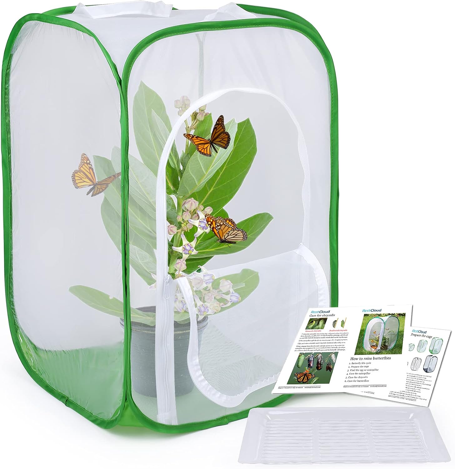 Butterfly Habitat With Poo Poo Platter Butterfly Nepal Ubuy butterfly-habitat-with-poo-poo-platter-butterfly-nepal-ubuy