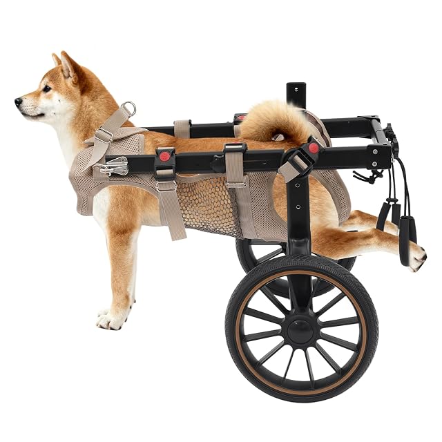 Silla de ruedas para perros grandes talla L ajustable para patas traseras
