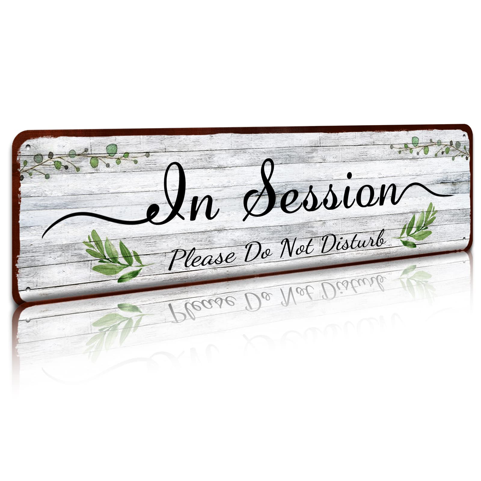 Do Not Disturb Sign - In Session, Please Do Not Disturb 4 x 16 Inch Wall Art Sign - for Business, Office, Therapist, Clinic, Treatment (in Session)
