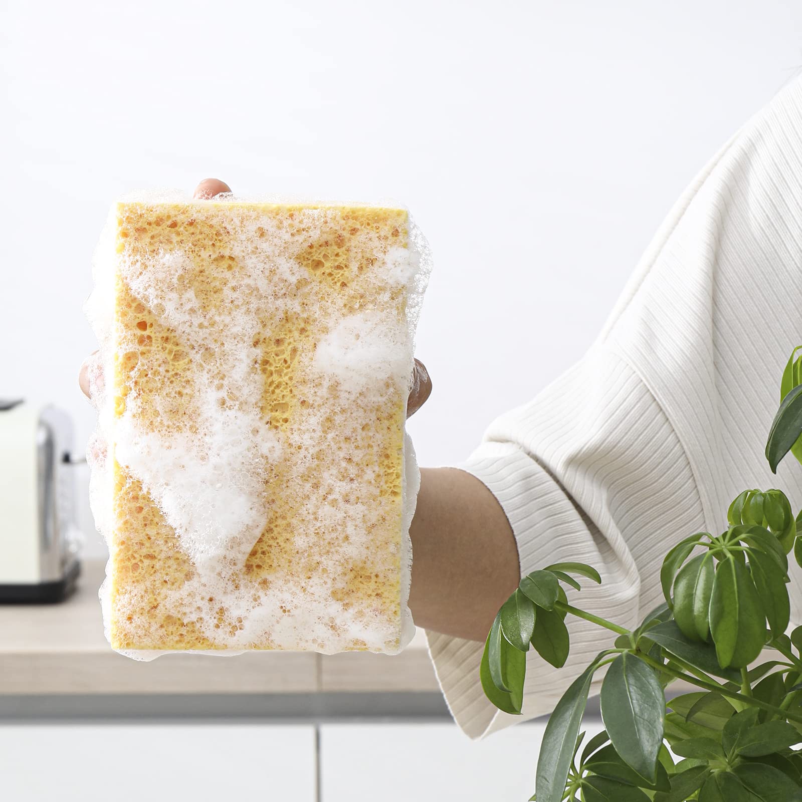 16 SPUGNE DA Cucina al Cocco, Spugna Ecologica per la Dei Piatti