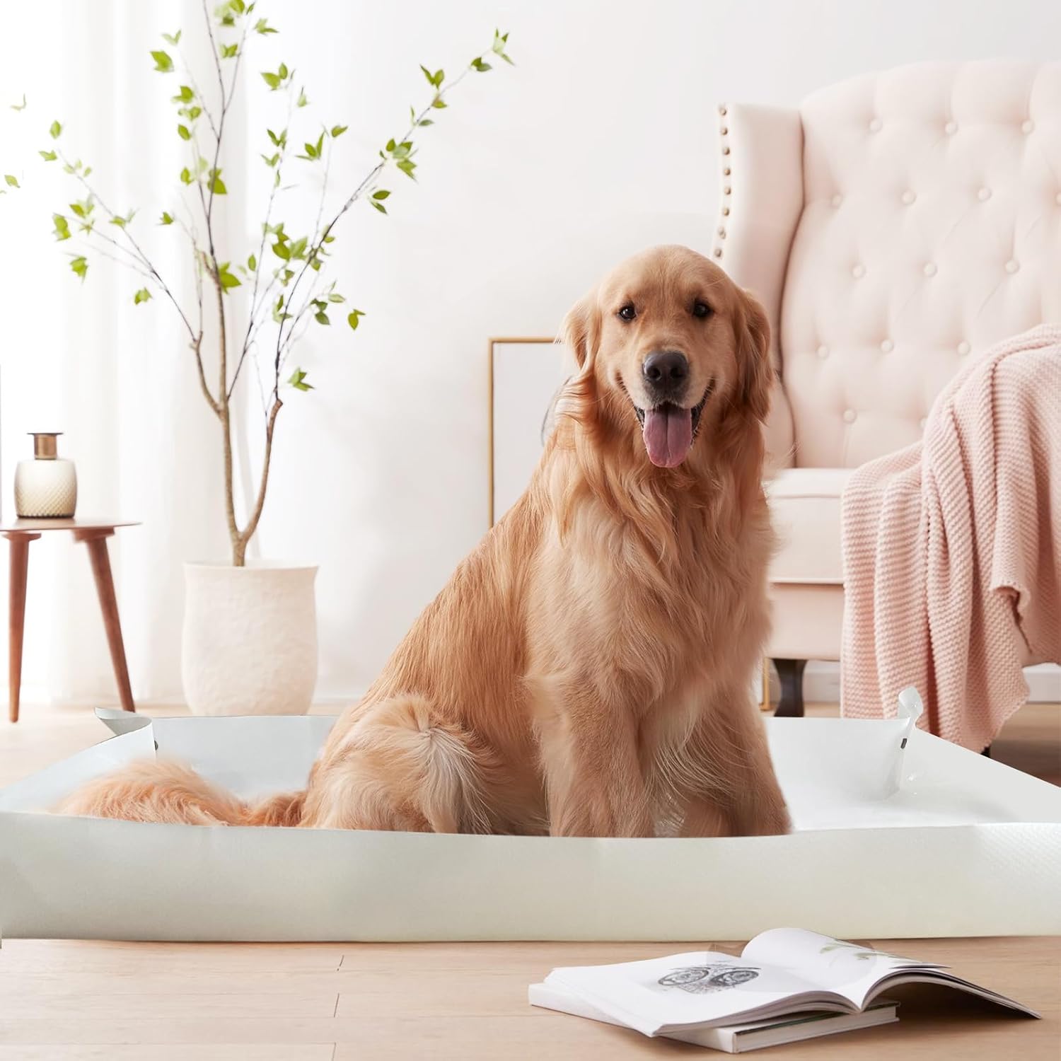review Dog Crate Pad Waterproof Dog Bed Mat, Washable Dog Bed Mat, Large Portable Dog Pee Pads Holder for Travel, Pet Cushion for Medium Small Dogs Cat Kitten Puppy (White, 39.49 * 39.49Inch)