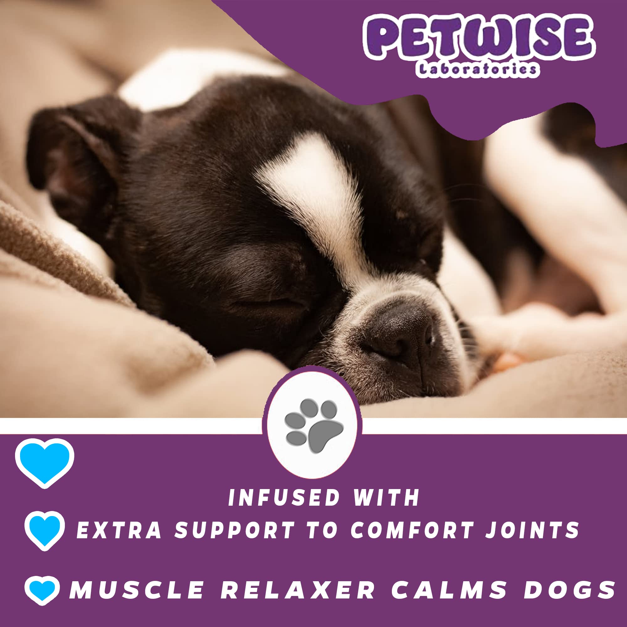 Can Dogs Take A Muscle Relaxer