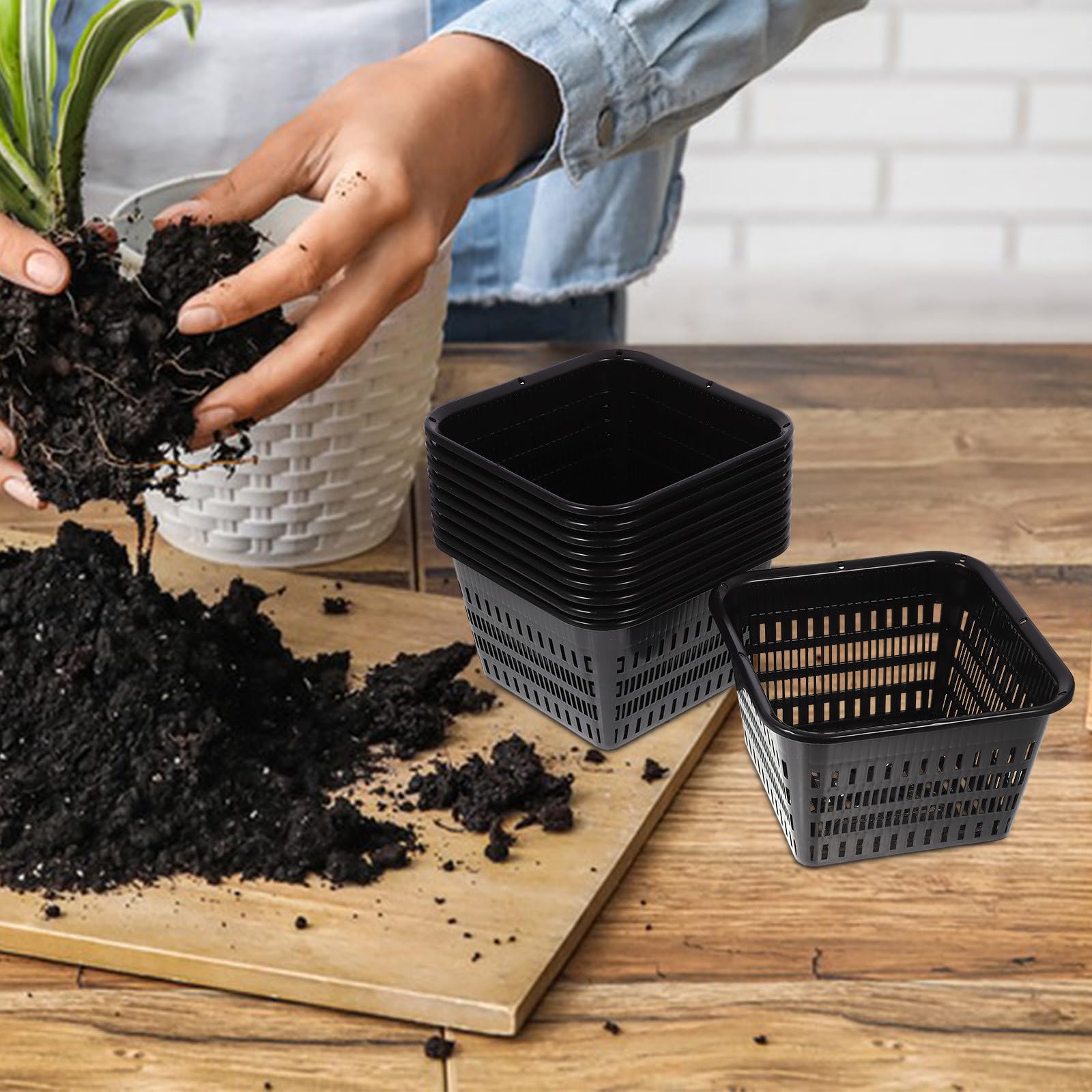 Gadpiparty 10 Pièces Pot à Orchidées en Plastique Noir Contrôle des Racines, sans Bavures, Plantation Rempotage des Plantes D'intérieur et D'extérieur