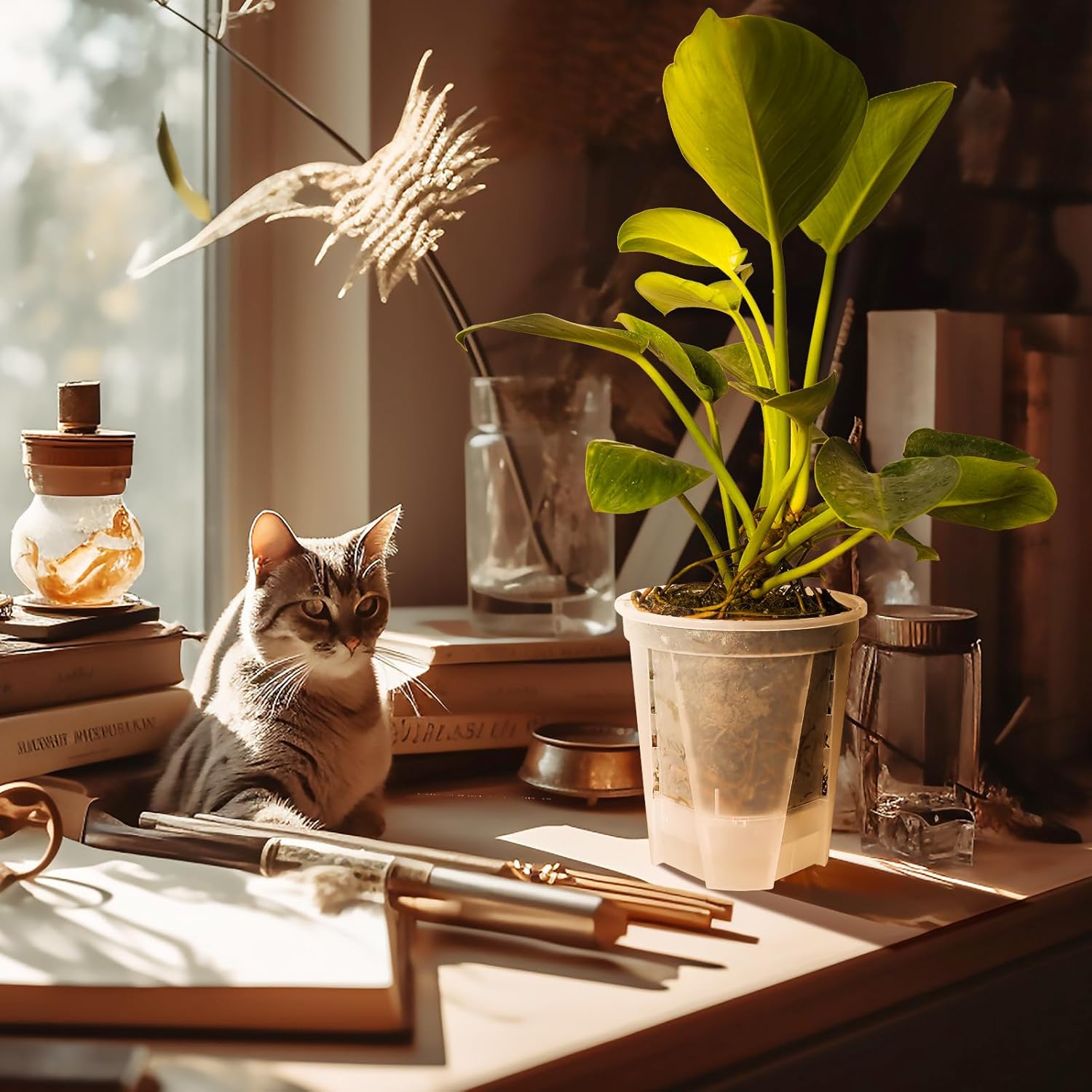 GREENPARA 5-Inch Self-Watering Plant Pots - 10-Pack Clear Plastic Planter with Deep Reservoir, Drainage Holes for Indoor Outdoor Gardens, Herbs, Succulents, and Flowers - Image 2