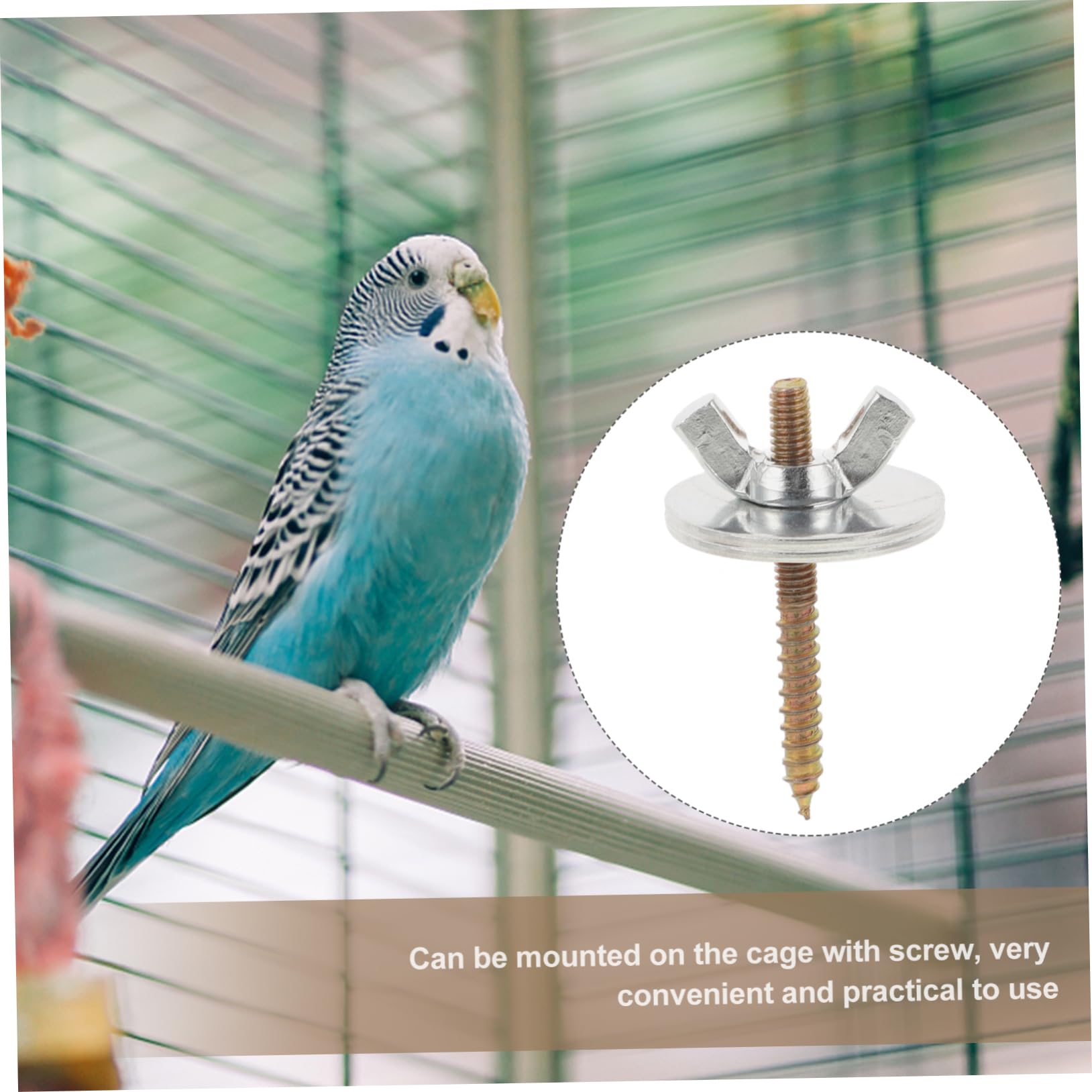 iplusmile 10 Ensembles Vis de Fixation pour Support de Cage à Oiseaux avec Écrous et Rondelles Accessoires de pour Perchoirs Vis Métalliques Durables pour Stabilité et Installation Facile