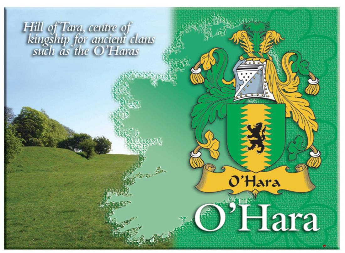 O'Hara Irish Family Name Souvenir Metallic Picture Fridge Magnet