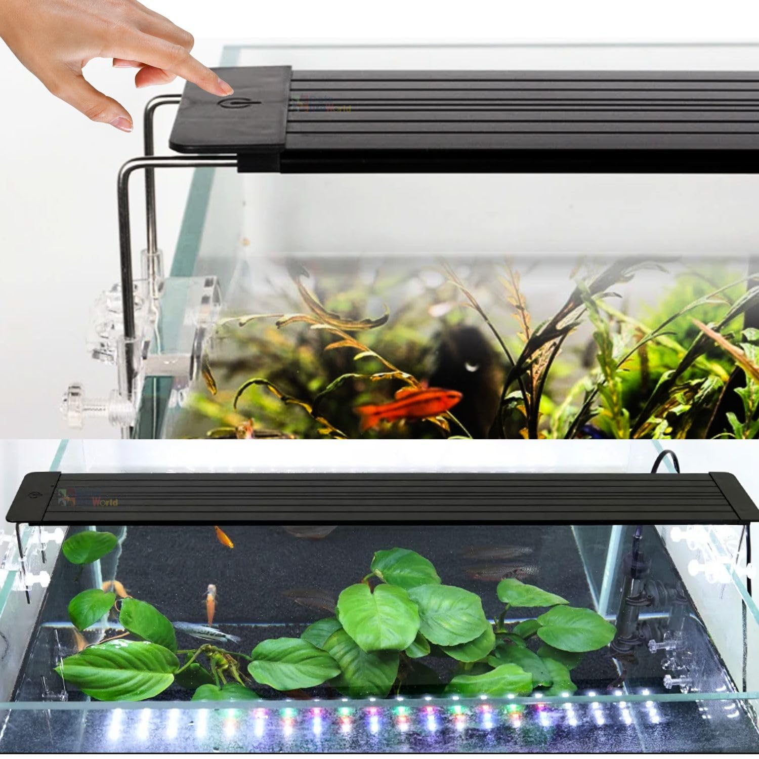 VAYINATO® (R-300 | Fit for 30~70Cm Tank WRGB Ultra Slim 9 Color Modes Submersible Aquarium LED Light with Acrylic Light & Tools Holders | Touch Control | Water Proof by Petzlifeworld (B0D3PX6FSV) Amazon Price History, Amazon Price Tracker