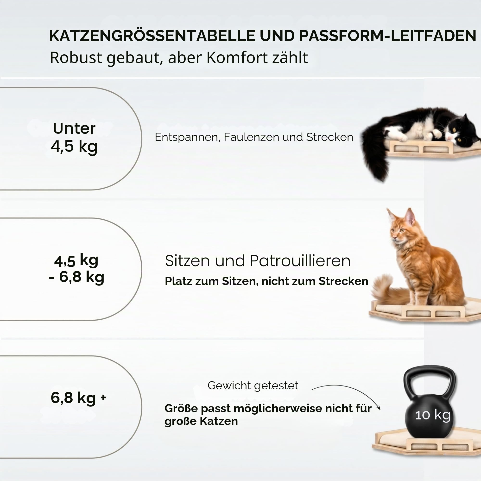 INICIO Katzen-Wandregal, sichere und stabile Katzenwandmöbel, stilvolles Eckregal aus Birkenholz, 3 Stufen für Katzen bis 8 kg, gepolsterte Sitzstange und Treppen zum Klettern und Spielen
