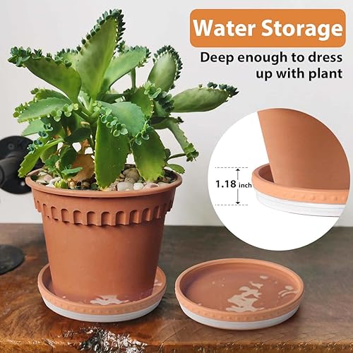 Miniatura 4 de YBX - Plato redondo de terracota de 8 pulgadas, bandejas redondas de cerámica para plantas, paquete de 2 (blancoterracota)