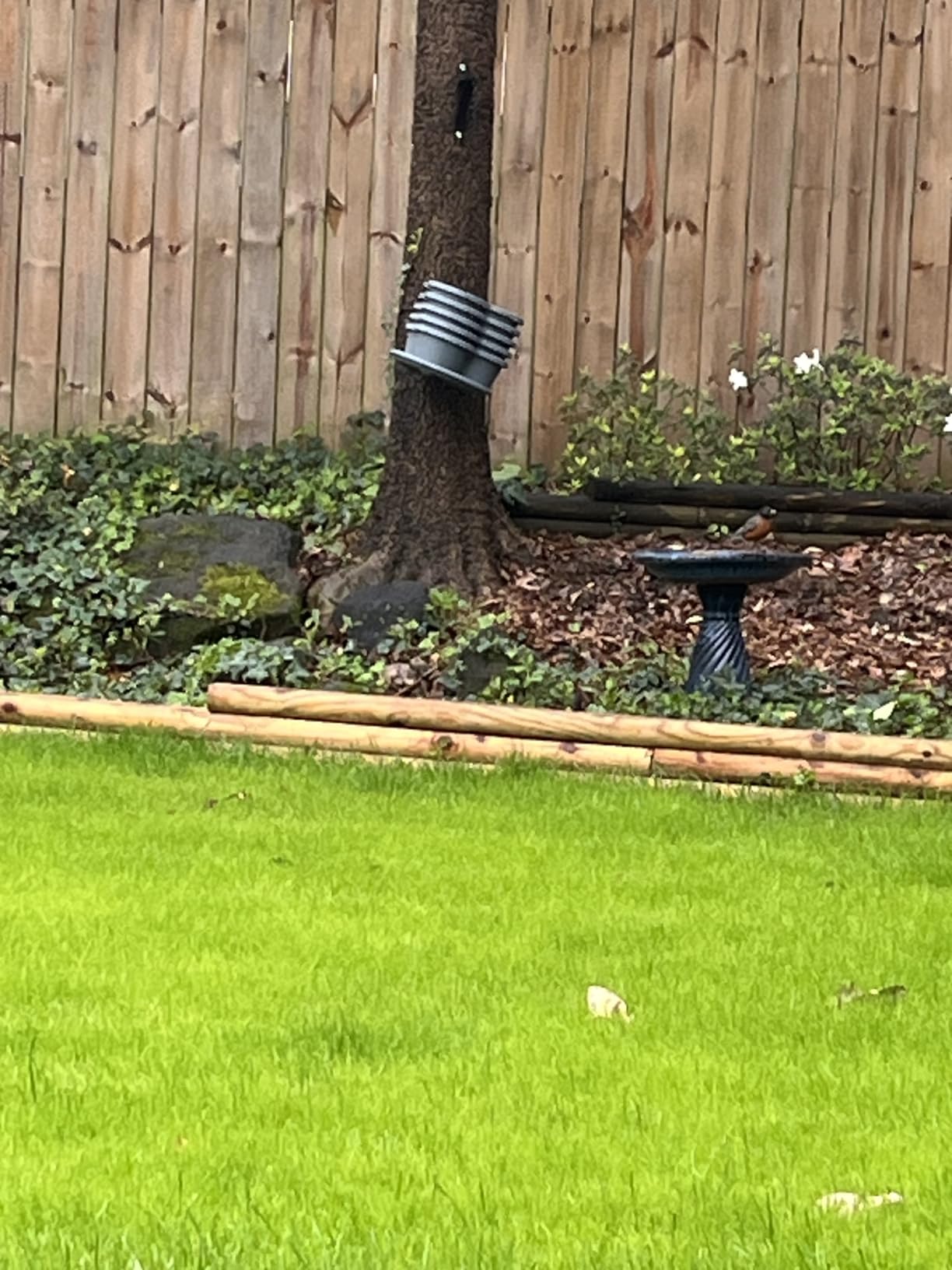 VIVOSUN garden setup