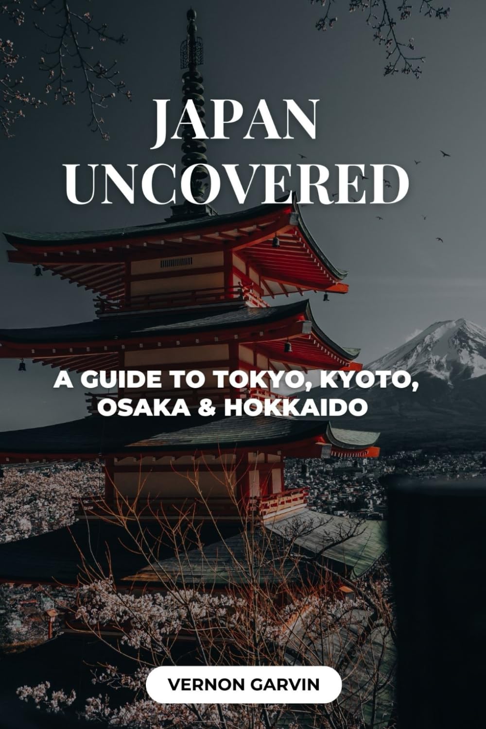 Japan Uncovered: A Guide to Tokyo, Kyoto, Osaka & Hokkaido