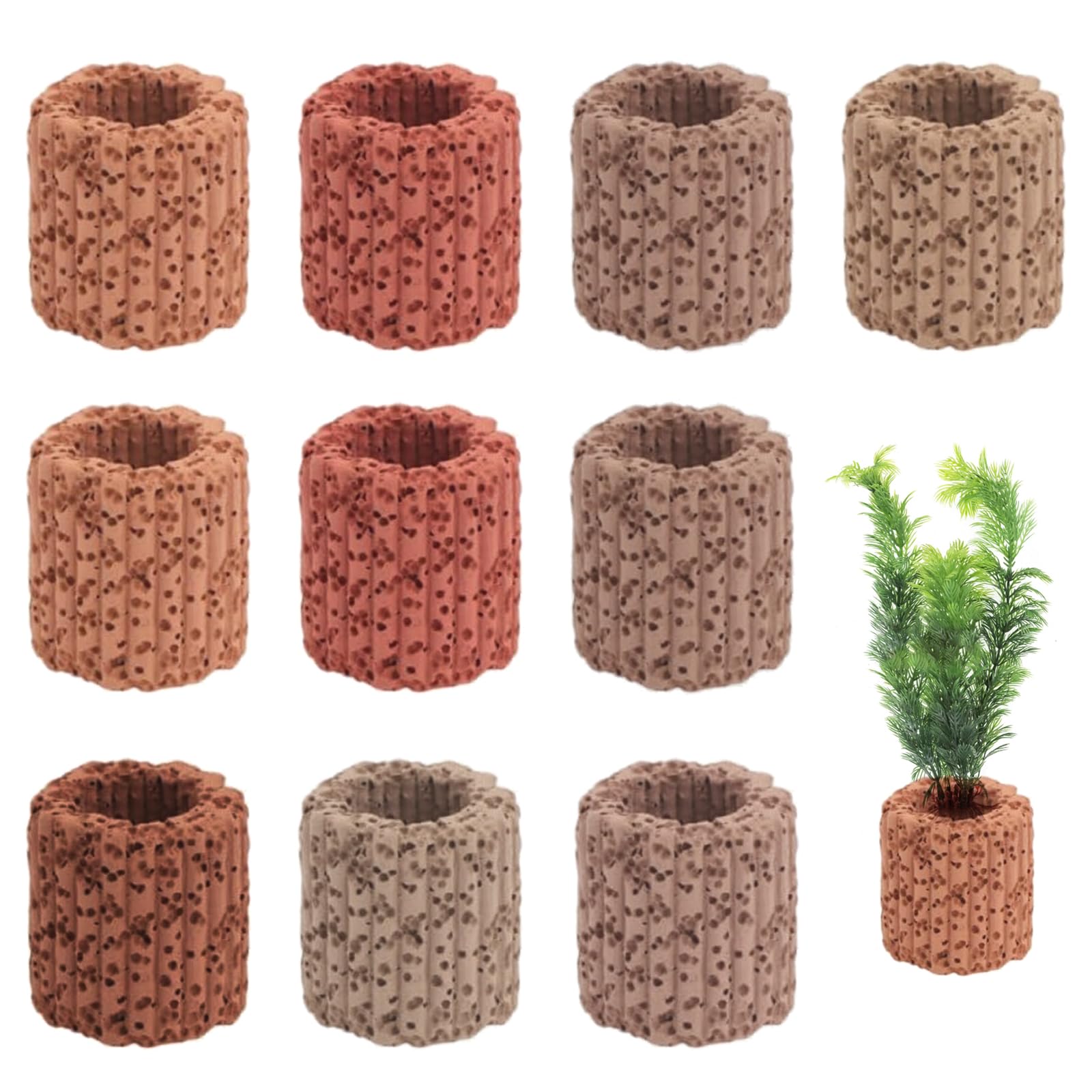 Amazon.co.jp: PAVIKE水草固定リング 【10個セット】水生植物