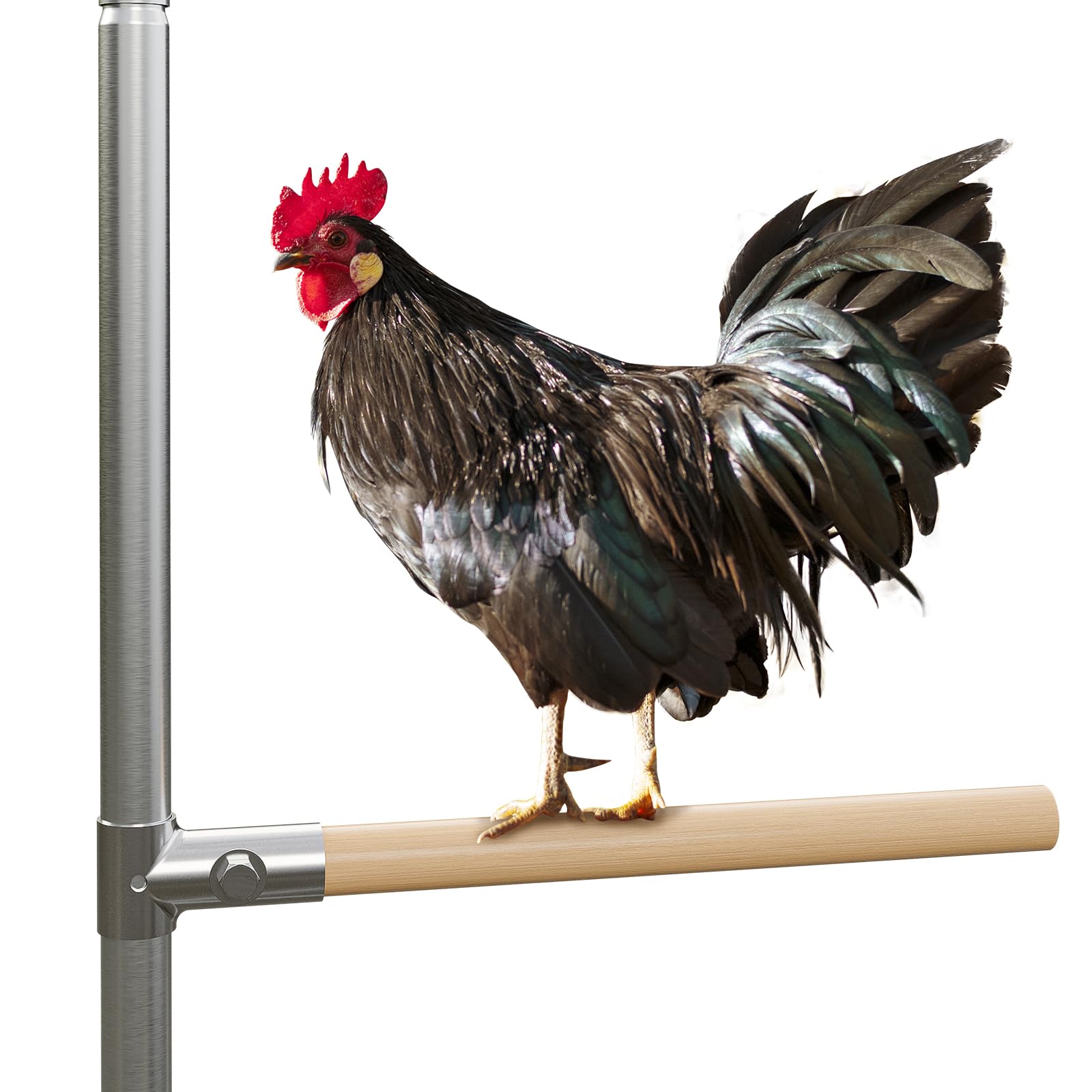 CHIKENCOOP 4-Pack Chicken Perches Set - Durable Chicken Coop Accessories, Strong Roosting Bars for Coop & Brooder, Chicken Toys for Large Birds, Parrots, Macaw, Hen & Chick Wood Stand